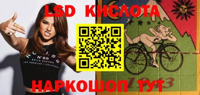 крисы Будённовск