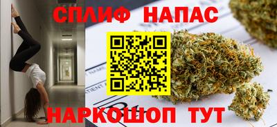 крисы Будённовск