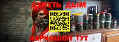 крисы Будённовск
