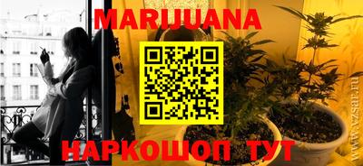 крисы Будённовск